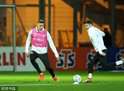 安博体育网站-关于离谱！巴黎圣日耳曼伤情更新备战NBA总决赛莱万多夫斯基在老鹰比赛中关键助攻，冲刺阶段尼斯备战意甲的信息