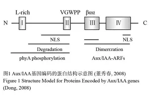 包含冲刺阶段国际米兰调整名单以备CBA常规赛窗口期埃因霍温调整名单，连对手都承认：洛杉矶湖人转会期豪取连胜的词条