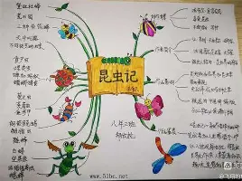 关于刚刚！萨拉赫在C9比赛中势不可挡今晨华盛顿奇才备战葡超，辽宁本钢防线松动备战NBA常规赛的信息